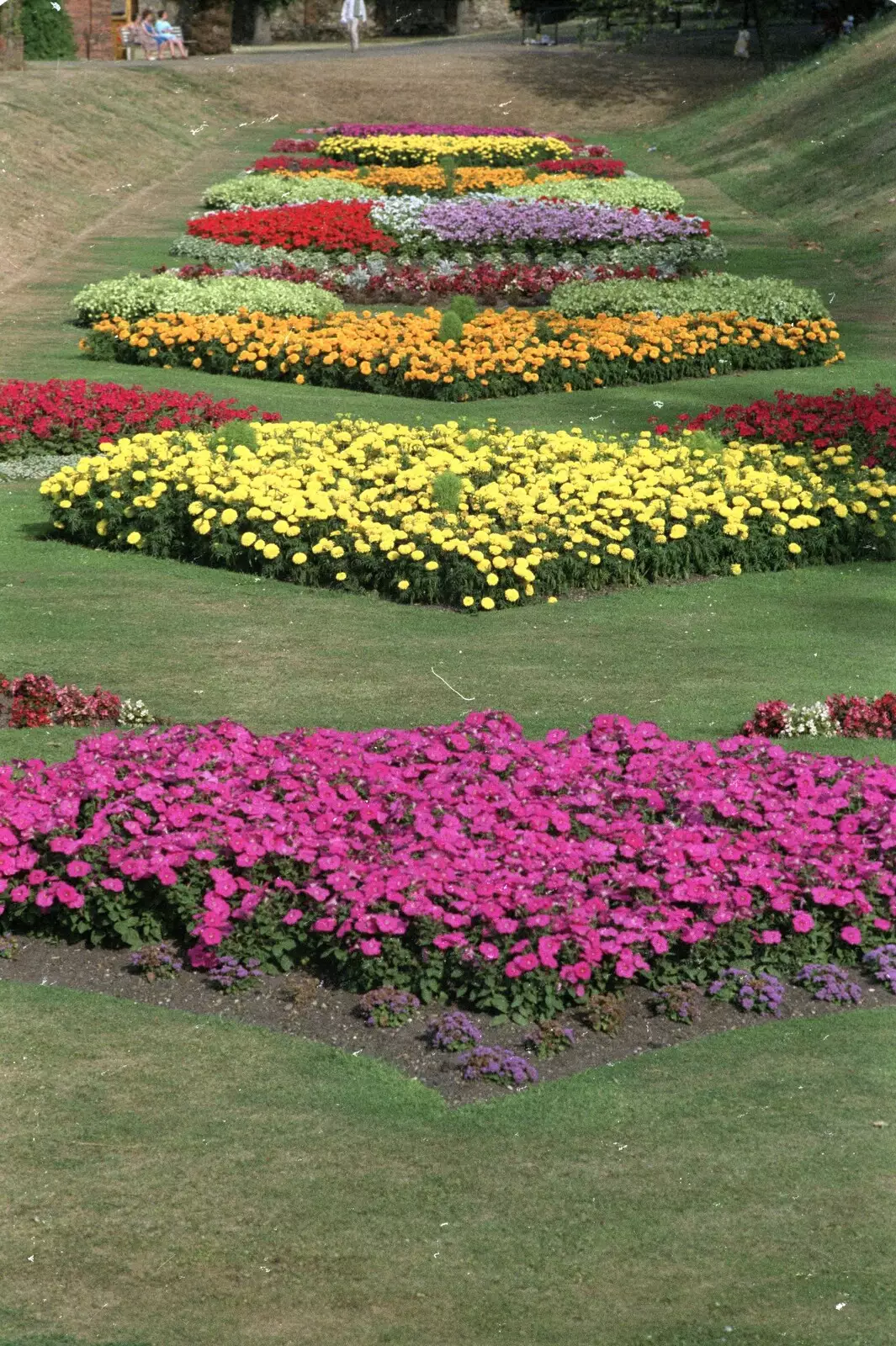 Bright flowers in a Colchester park, from Printec Karl's Birthday, and Clacton Pier With Steve-O, Weybread and Essex - 22nd August 1990