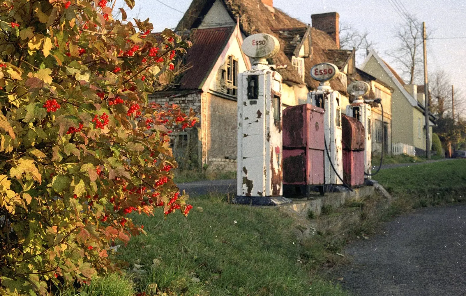 Bright red berries on a tree, from The Old Redgrave Petrol Station, and some Hand Bells, Suffolk and Long Stratton - 8th October 1990