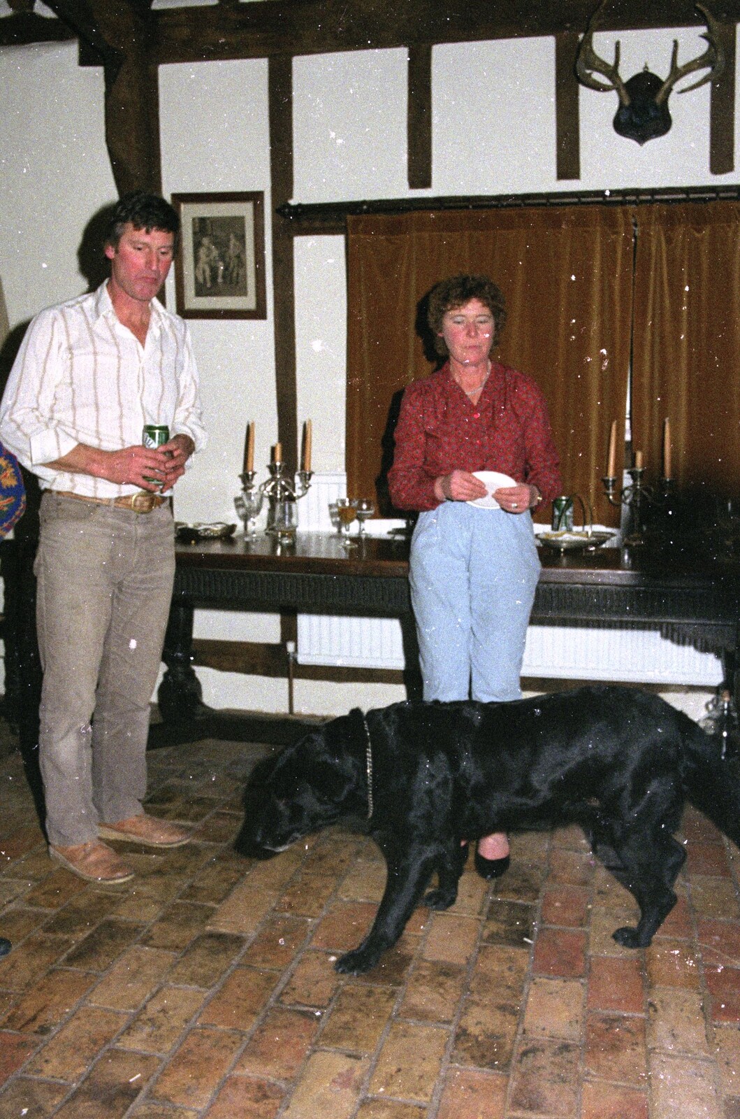 Shelly the Labrador roams around from The Old Redgrave Petrol Station, and some Hand Bells, Suffolk and Long Stratton - 8th October 1990