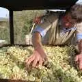 Geoff spreads out chopped apples, The Annual Cider Making Event, Stuston, Suffolk - 11th October 1990