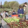 The chopping of the apples commences, The Annual Cider Making Event, Stuston, Suffolk - 11th October 1990