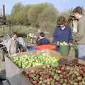 The chopping of the apples commences, The Annual Cider Making Event, Stuston, Suffolk - 11th October 1990