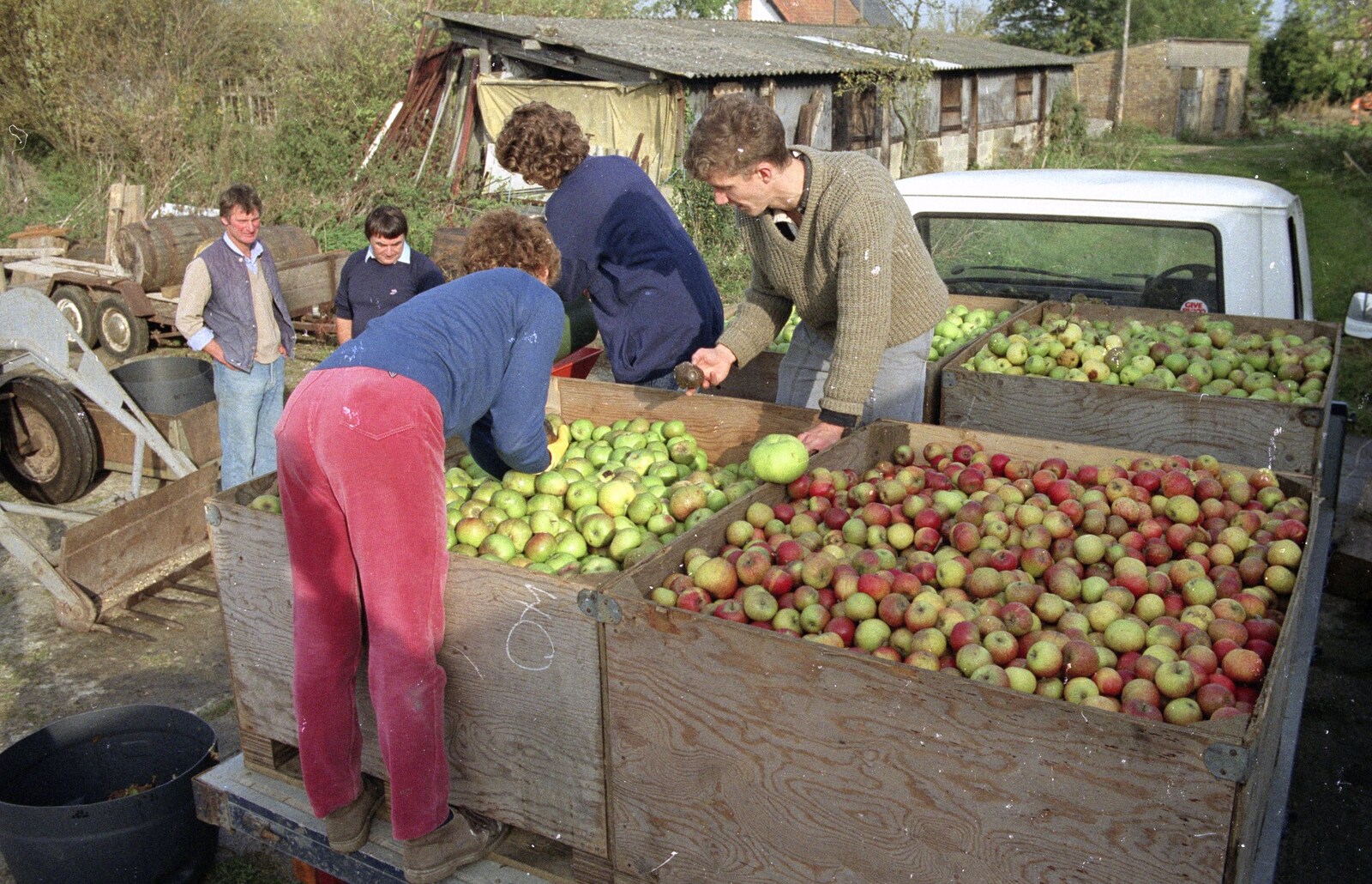 Brenda rummages through apples from The Annual Cider Making Event, Stuston, Suffolk - 11th October 1990