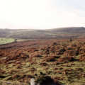 A view on Dartmoor