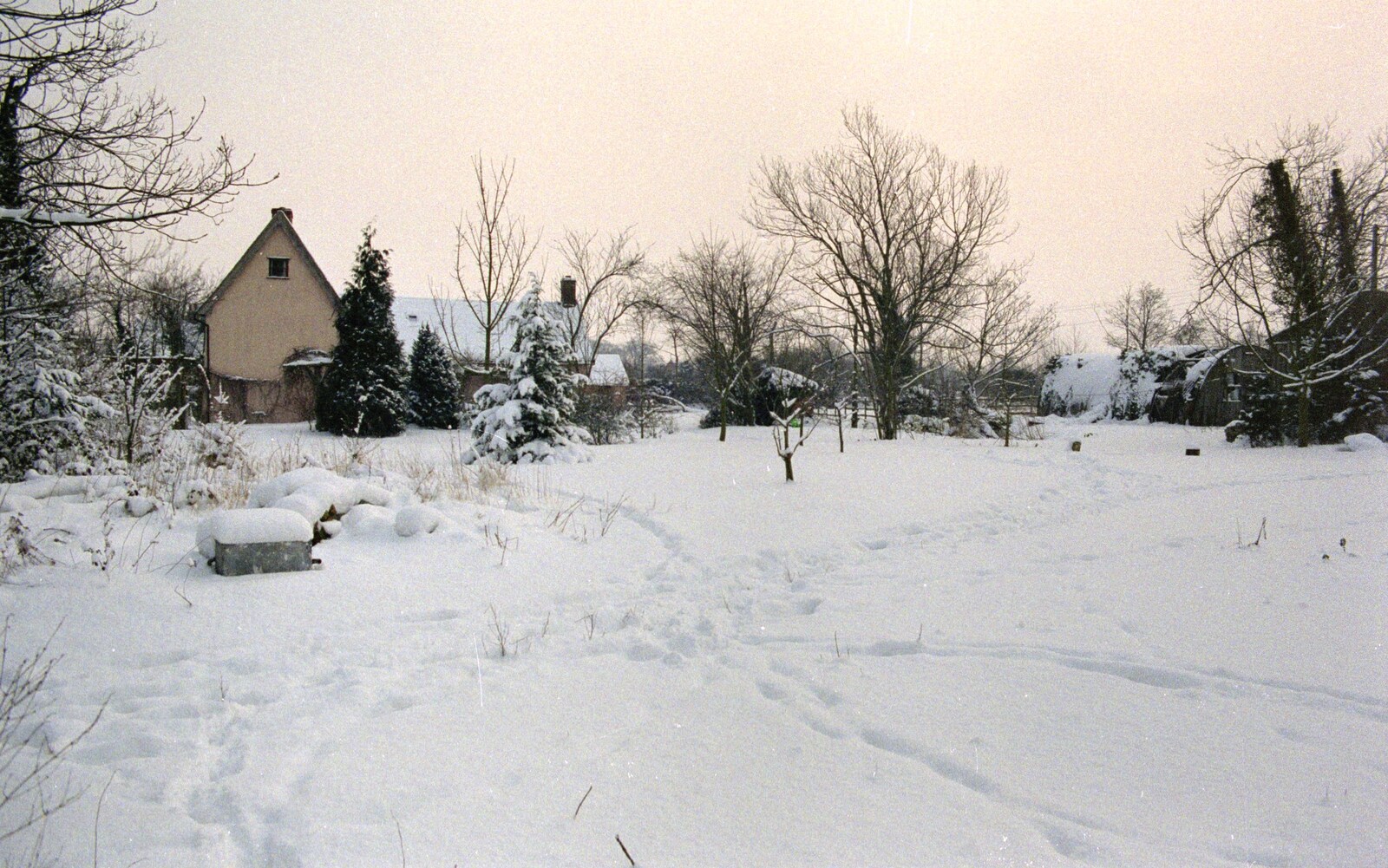 Geoff and Brenda's garden from Snow Days, Stuston and Norwich, Suffolk and Norfolk - 4th February 1991
