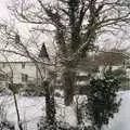 A wintry tree, Snow Days, Stuston and Norwich, Suffolk and Norfolk - 4th February 1991