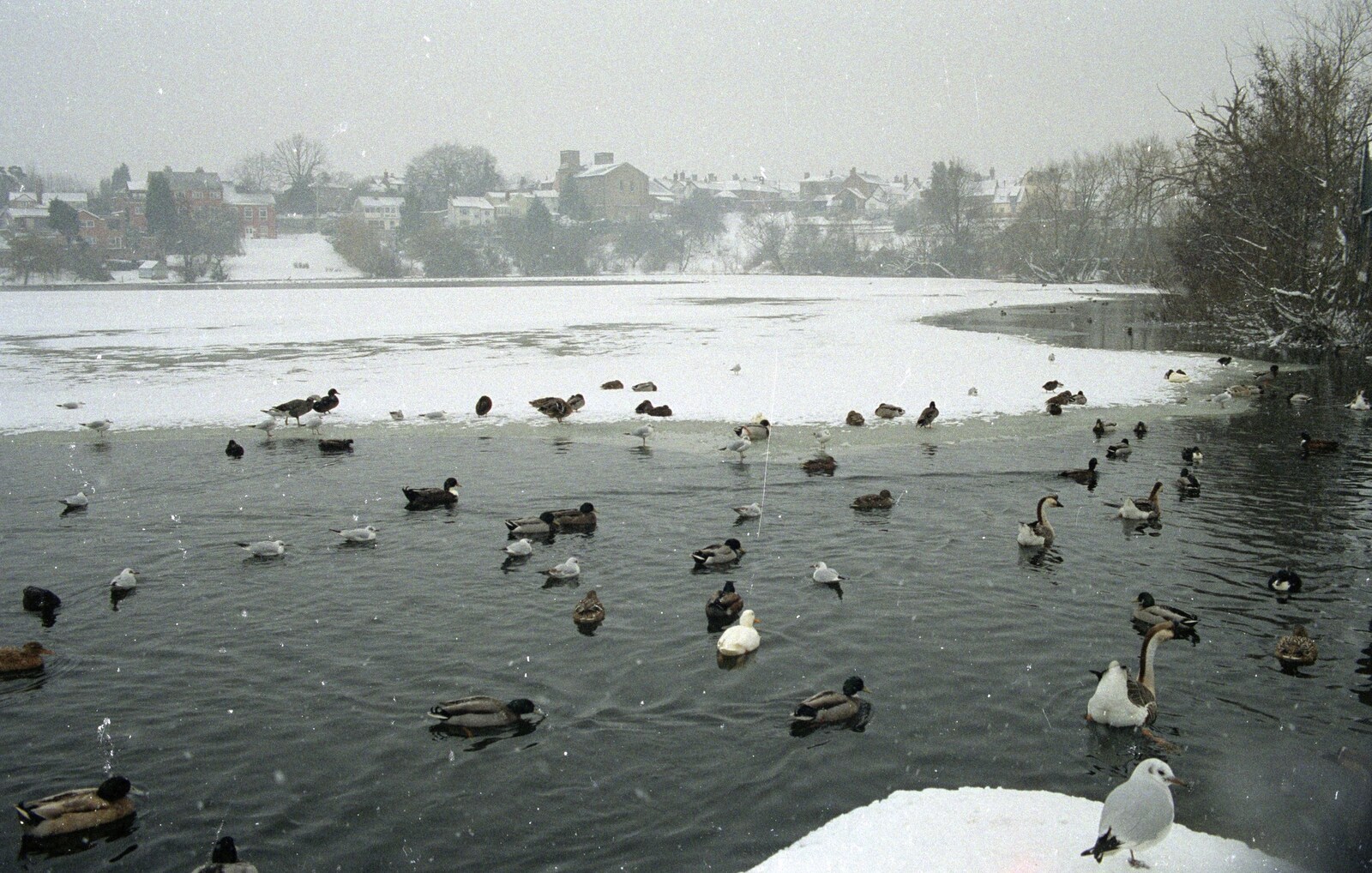Parts of the Mere are frozen over from Sledging on the Common and Some Music, Stuston, Suffolk - 5th February 1991