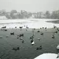 Parts of the Mere are frozen over, Sledging on the Common and Some Music, Stuston, Suffolk - 5th February 1991