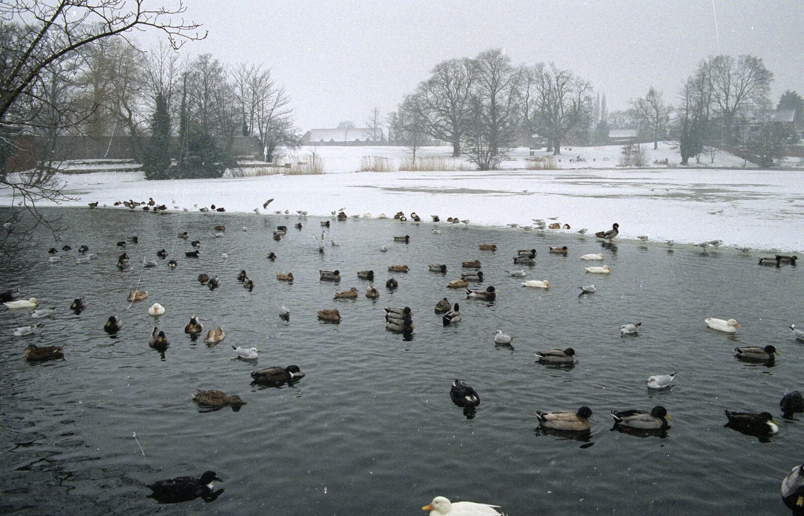 The frozen Mere and Diss Park from Sledging on the Common and Some Music, Stuston, Suffolk - 5th February 1991