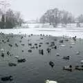 The frozen Mere and Diss Park, Sledging on the Common and Some Music, Stuston, Suffolk - 5th February 1991