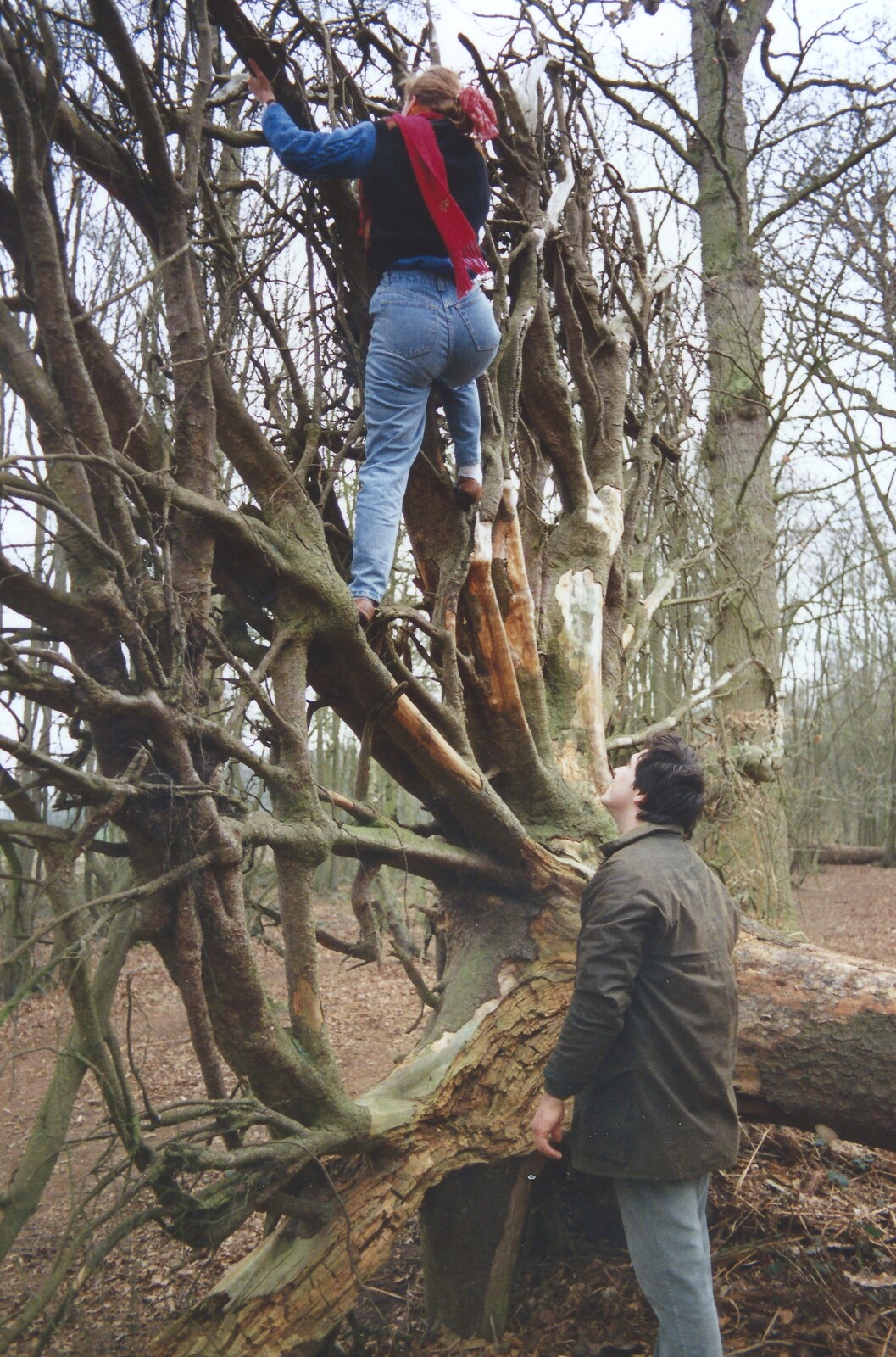 Janet climbs an impressive fan of roots from A Walk in Tyrrel's Wood, Pulham St. Mary, Norfolk - 23rd February 1991
