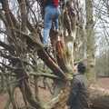 Janet climbs an impressive fan of roots, A Walk in Tyrrel's Wood, Pulham St. Mary, Norfolk - 23rd February 1991