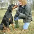 Tina and the Doberman, The Newmarket Dog Show and Dobermans on the Ling, Newmarket and Wortham, Suffolk - 3rd April 1991