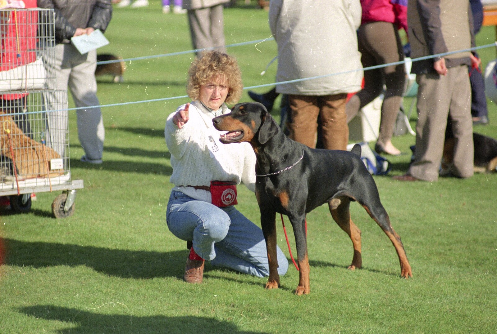 Tina points from The Newmarket Dog Show and Dobermans on the Ling, Newmarket and Wortham, Suffolk - 3rd April 1991