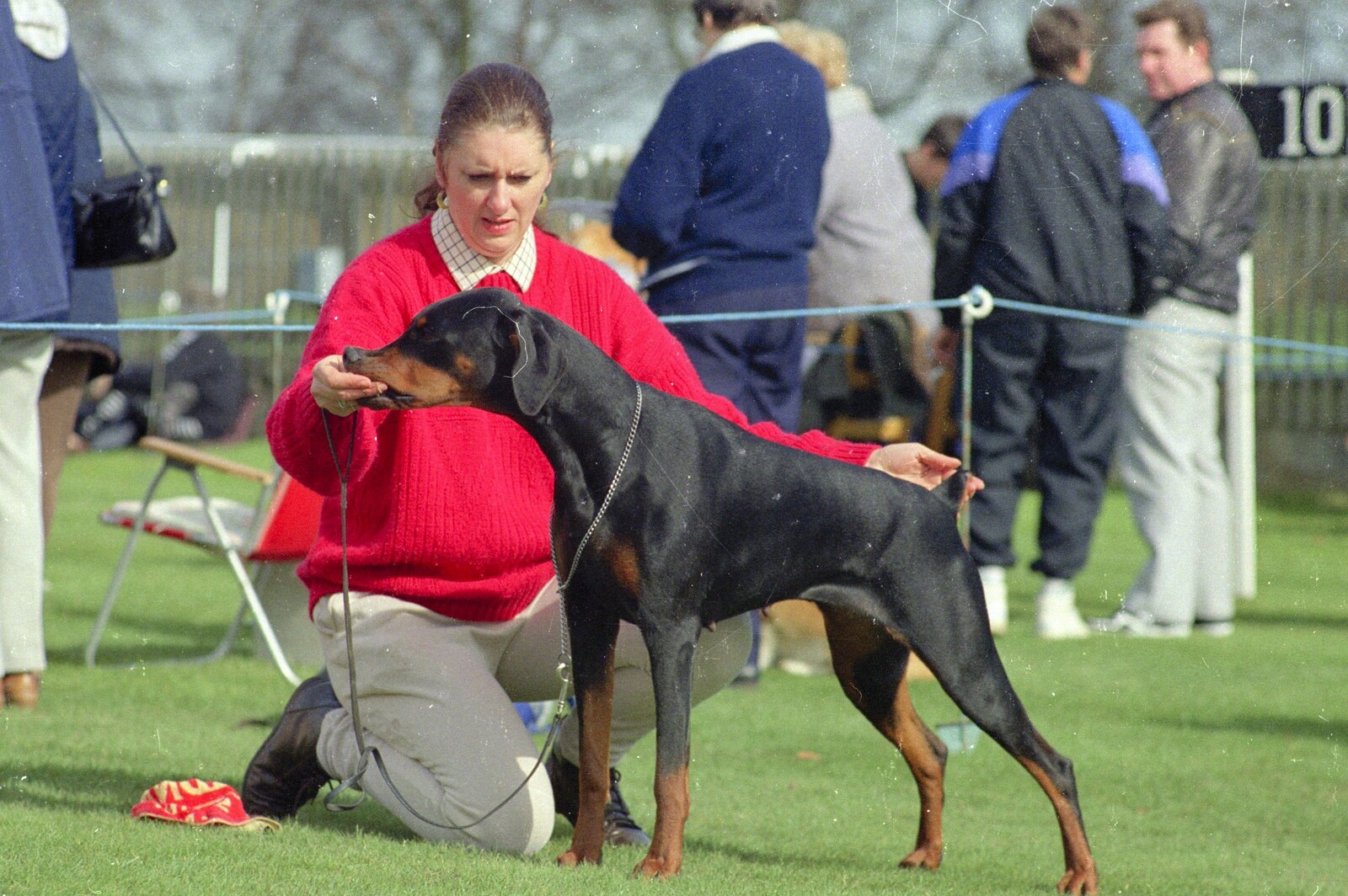 'Doggy' Anne sneaks a treat for her Doberman from The Newmarket Dog Show and Dobermans on the Ling, Newmarket and Wortham, Suffolk - 3rd April 1991