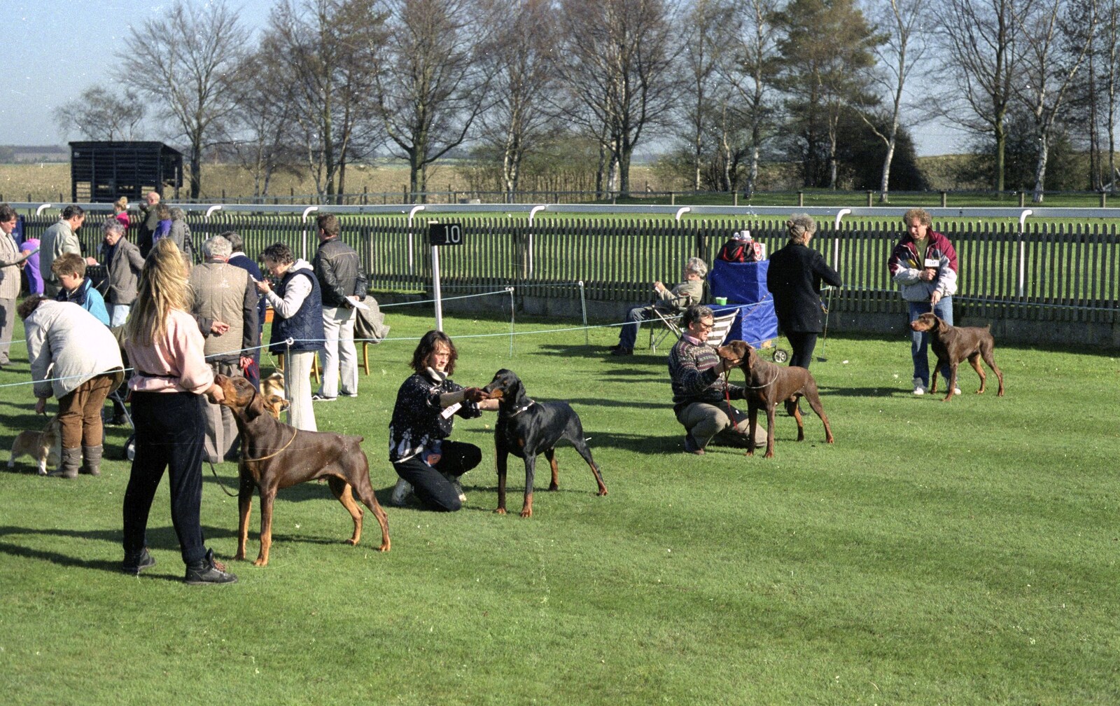More dog judging from The Newmarket Dog Show and Dobermans on the Ling, Newmarket and Wortham, Suffolk - 3rd April 1991