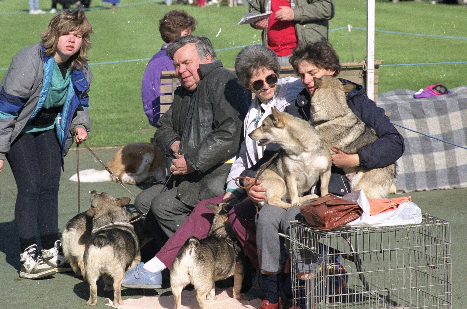 A curious collection of Corgis from The Newmarket Dog Show and Dobermans on the Ling, Newmarket and Wortham, Suffolk - 3rd April 1991