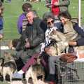 A curious collection of Corgis, The Newmarket Dog Show and Dobermans on the Ling, Newmarket and Wortham, Suffolk - 3rd April 1991