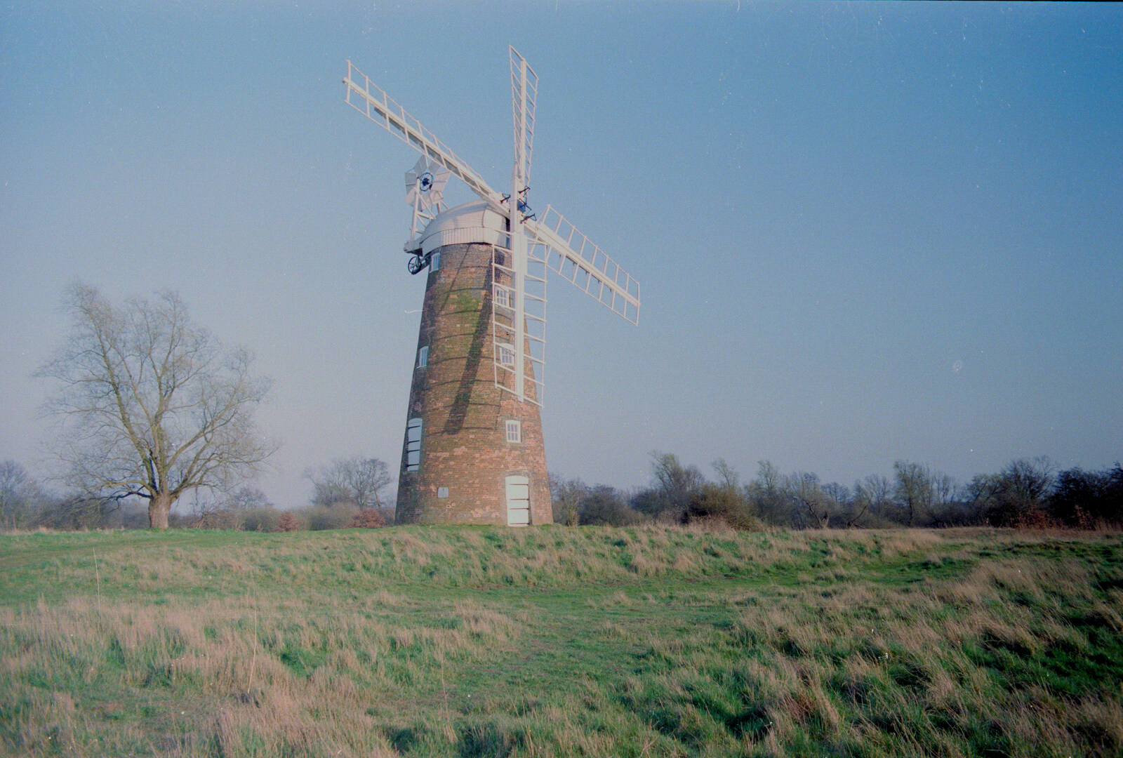 Billingford windmill from Pedros and Daffodils, Norwich and Billingford, Norfolk - 20th April 1991