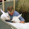 1991 A Man cuddles his goats