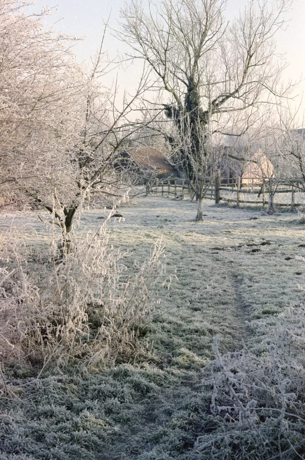 Down the back of Geoff and Brenda's garden, from A Frosty Morning, Suffolk and Norfolk - 15th December 1991