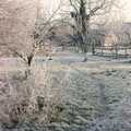 Down the back of Geoff and Brenda's garden, A Frosty Morning, Suffolk and Norfolk - 15th December 1991