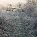Looking back towards The Stables, A Frosty Morning, Suffolk and Norfolk - 15th December 1991