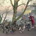 A woman feeds the ducks down at Diss Mere, A Frosty Morning, Suffolk and Norfolk - 15th December 1991