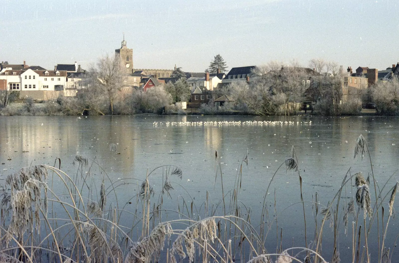 Frosty trees around Diss Mere, from A Frosty Morning, Suffolk and Norfolk - 15th December 1991