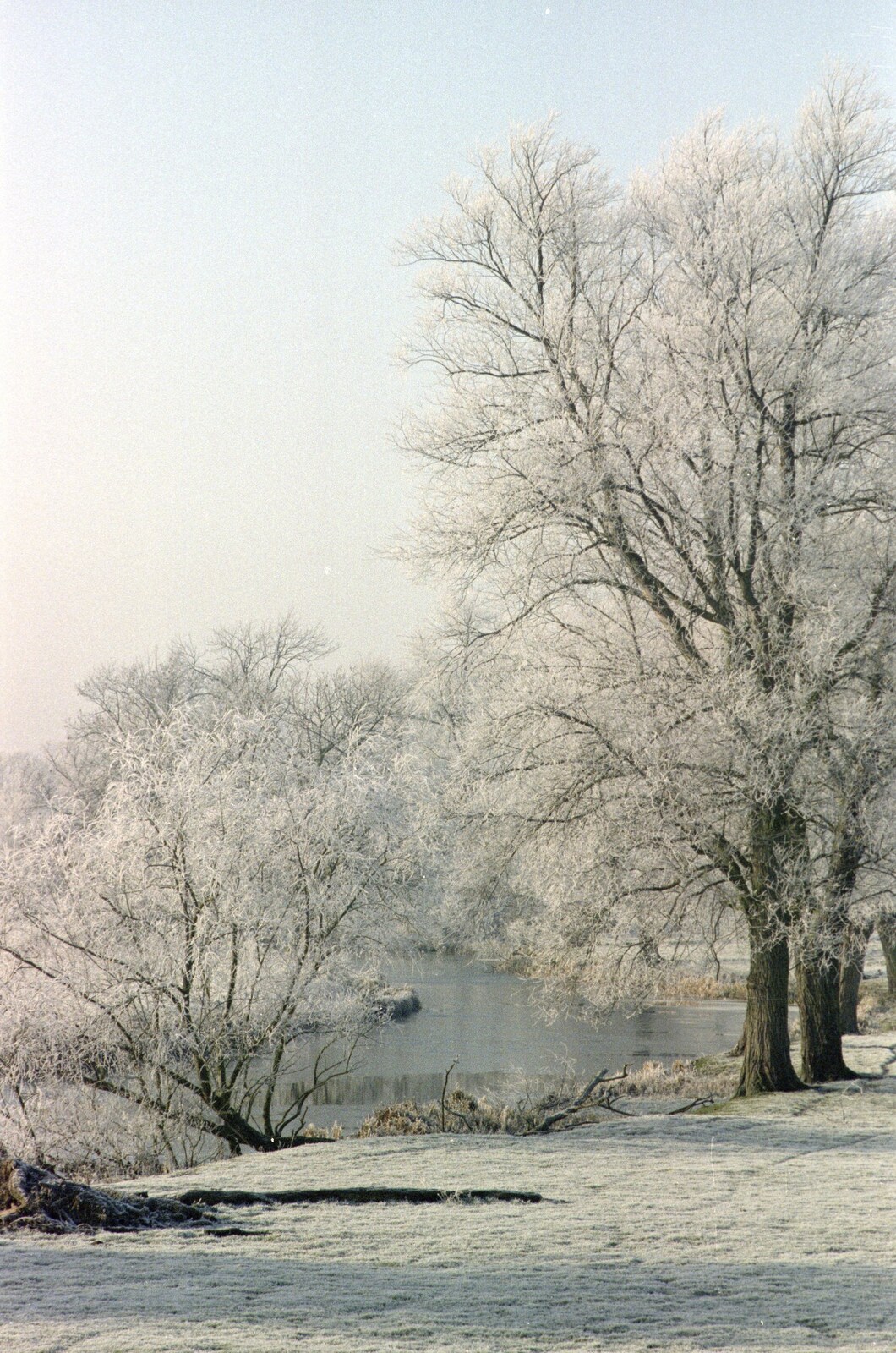 Down by the Waveney, near Needham from A Frosty Morning, Suffolk and Norfolk - 15th December 1991