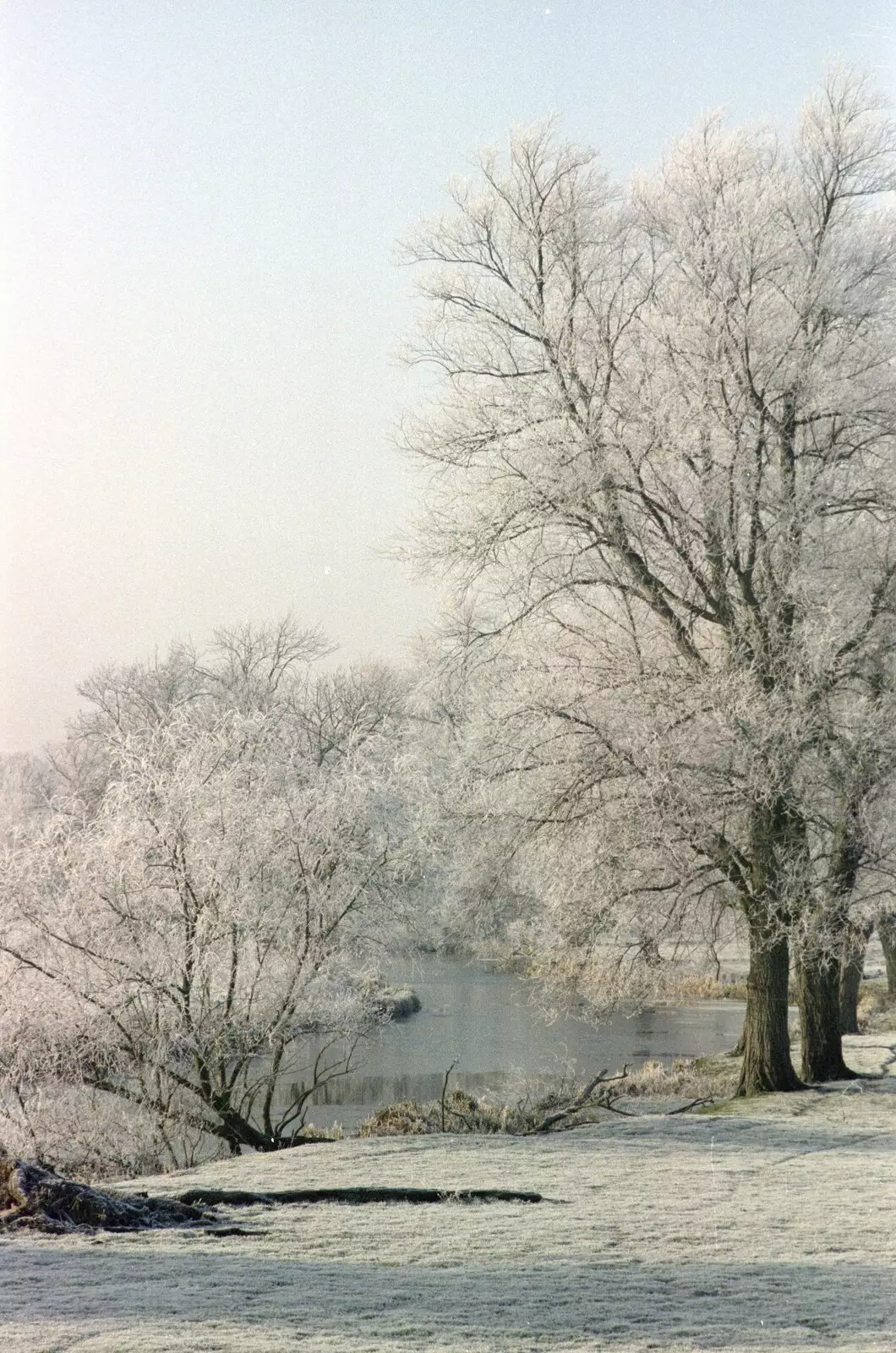 Down by the Waveney, near Needham, from A Frosty Morning, Suffolk and Norfolk - 15th December 1991