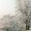 Down by the Waveney, near Needham, A Frosty Morning, Suffolk and Norfolk - 15th December 1991