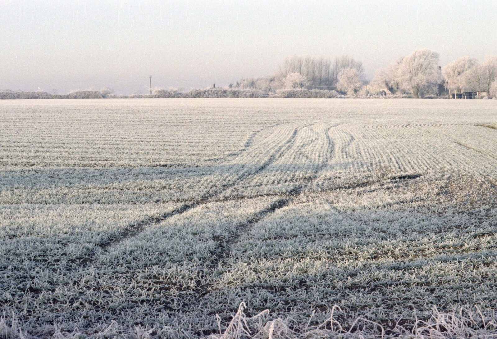 A frosty field in Stuston from A Frosty Morning, Suffolk and Norfolk - 15th December 1991