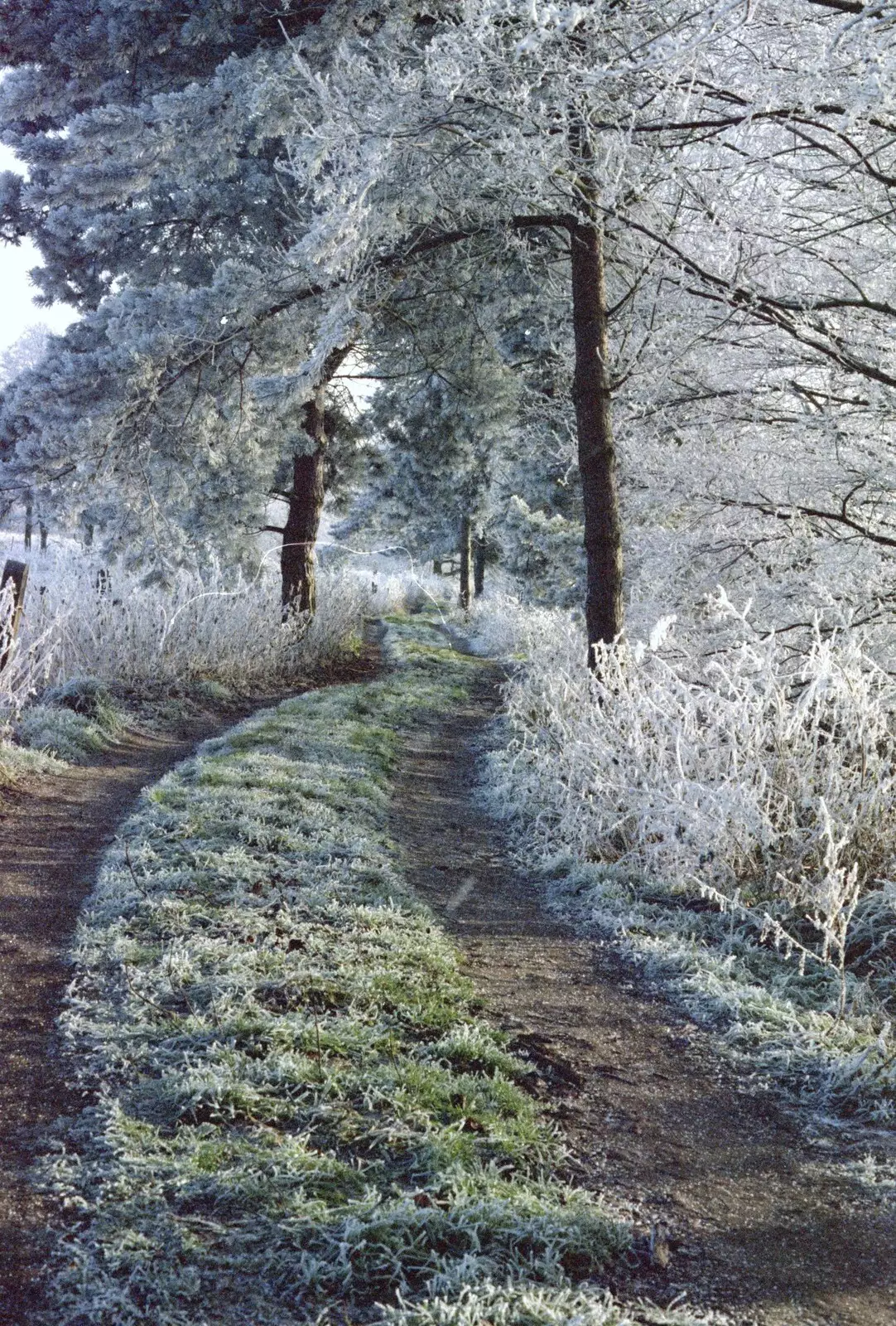 A lane somewhere, from A Frosty Morning, Suffolk and Norfolk - 15th December 1991