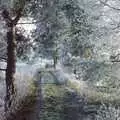 Looking the other way down a frosty lane, A Frosty Morning, Suffolk and Norfolk - 15th December 1991