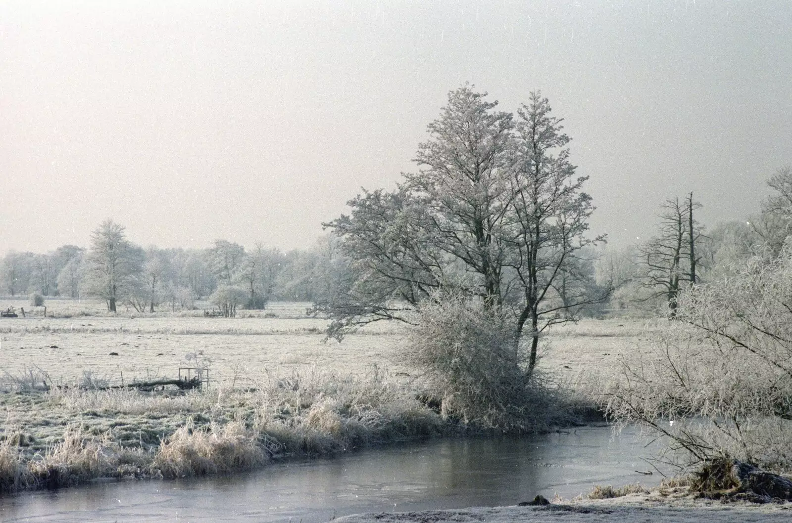 The River Waveney at Needham, from A Frosty Morning, Suffolk and Norfolk - 15th December 1991