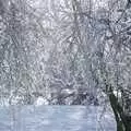 It's almost like snow, A Frosty Morning, Suffolk and Norfolk - 15th December 1991