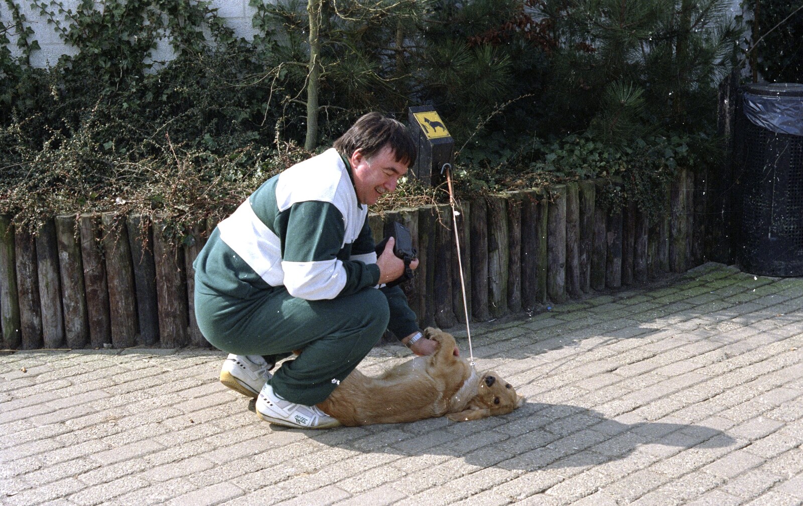 A Trip to Center Parcs, Eemhof, Netherlands - 24th March 1992: Corky gives a belly scratch to a passing hound