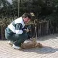 Corky gives a belly scratch to a passing hound, A Trip to Center Parcs, Eemhof, Netherlands - 24th March 1992