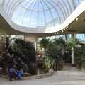 A leafy atrium, A Trip to Center Parcs, Eemhof, Netherlands - 24th March 1992