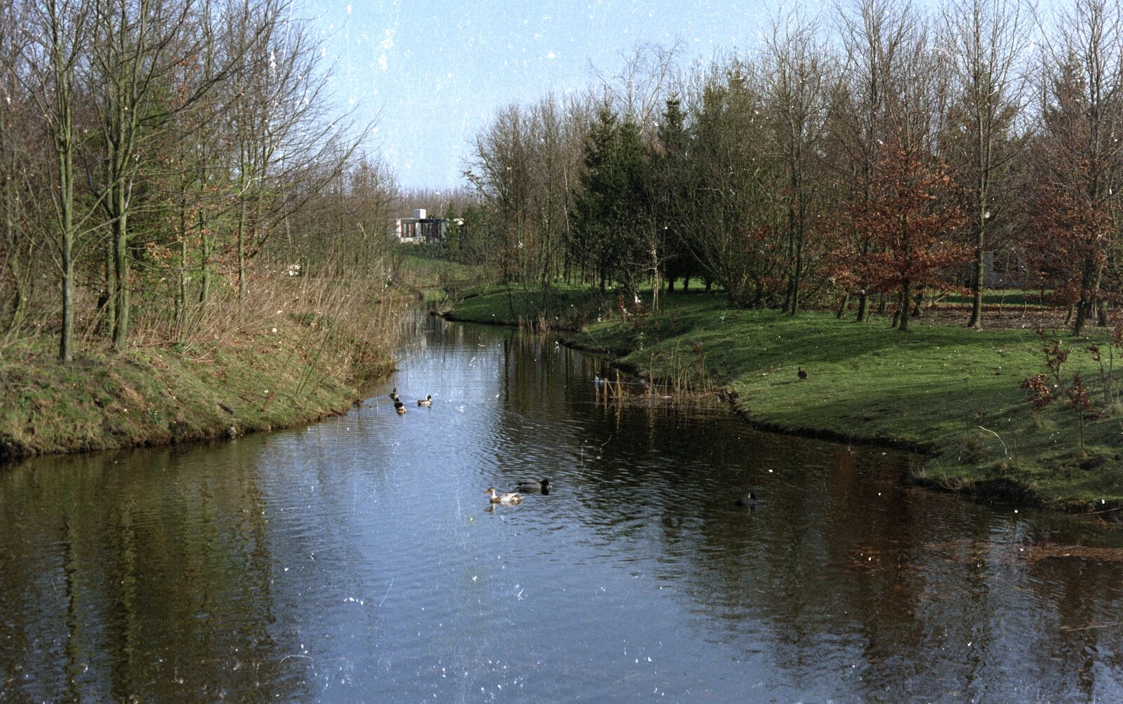 A Trip to Center Parcs, Eemhof, Netherlands - 24th March 1992: Center Parcs' ponds