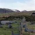 A mountain fence, Capel Curig to Abergavenny: A Road-Trip With Hamish, Wales - 3rd April 1992