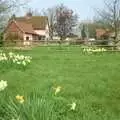 Spring daffodils, The Election Caravan and a View from a Cherry Picker, Stuston, Suffolk - 9th April 1992