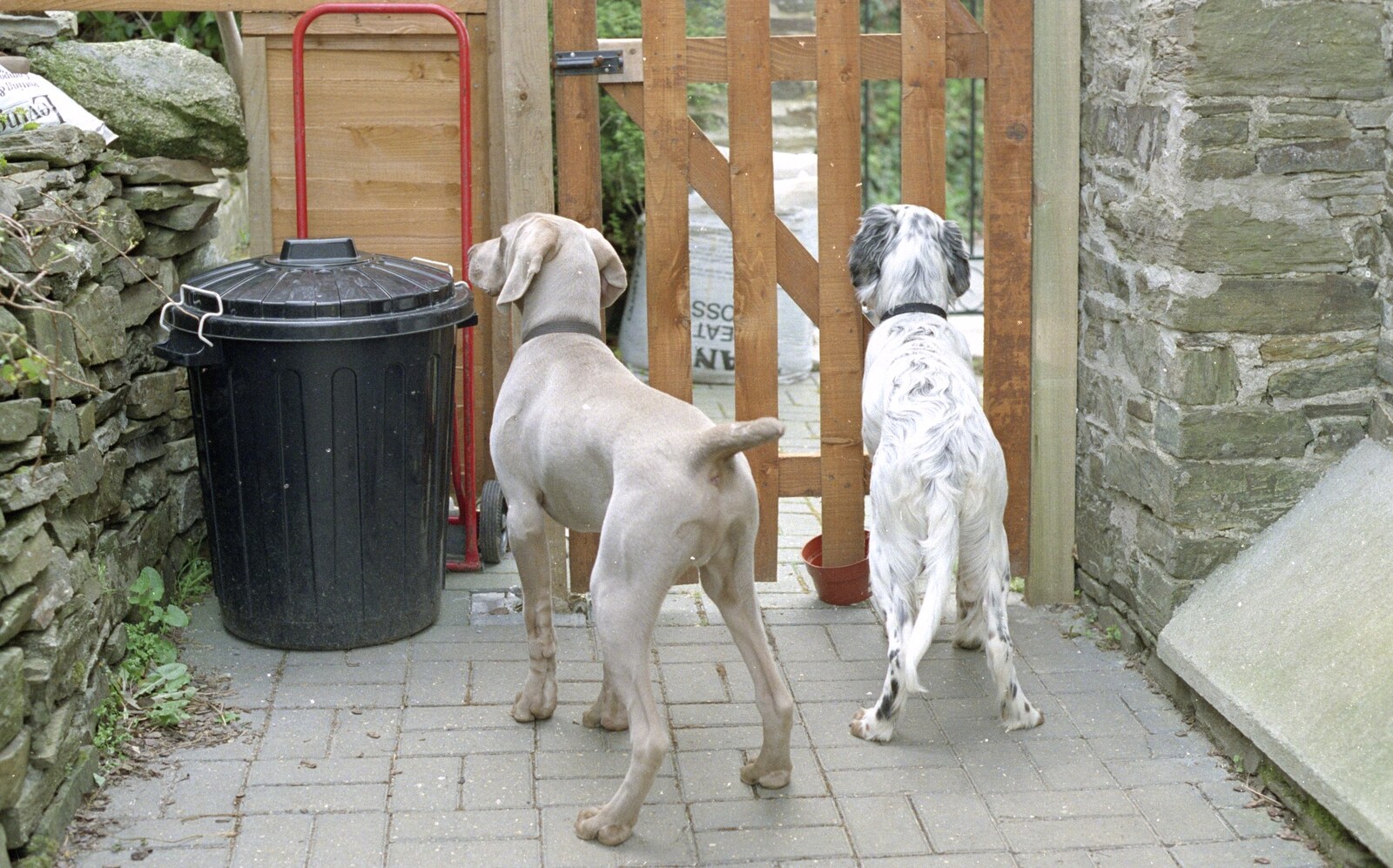 Watson and Holmes want to escape from Uni: A Mini Reunion, Plymouth, Devon - 14th April 1992
