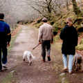 Walkin' the dog(s) near Hoo Meavy on Dartmoor