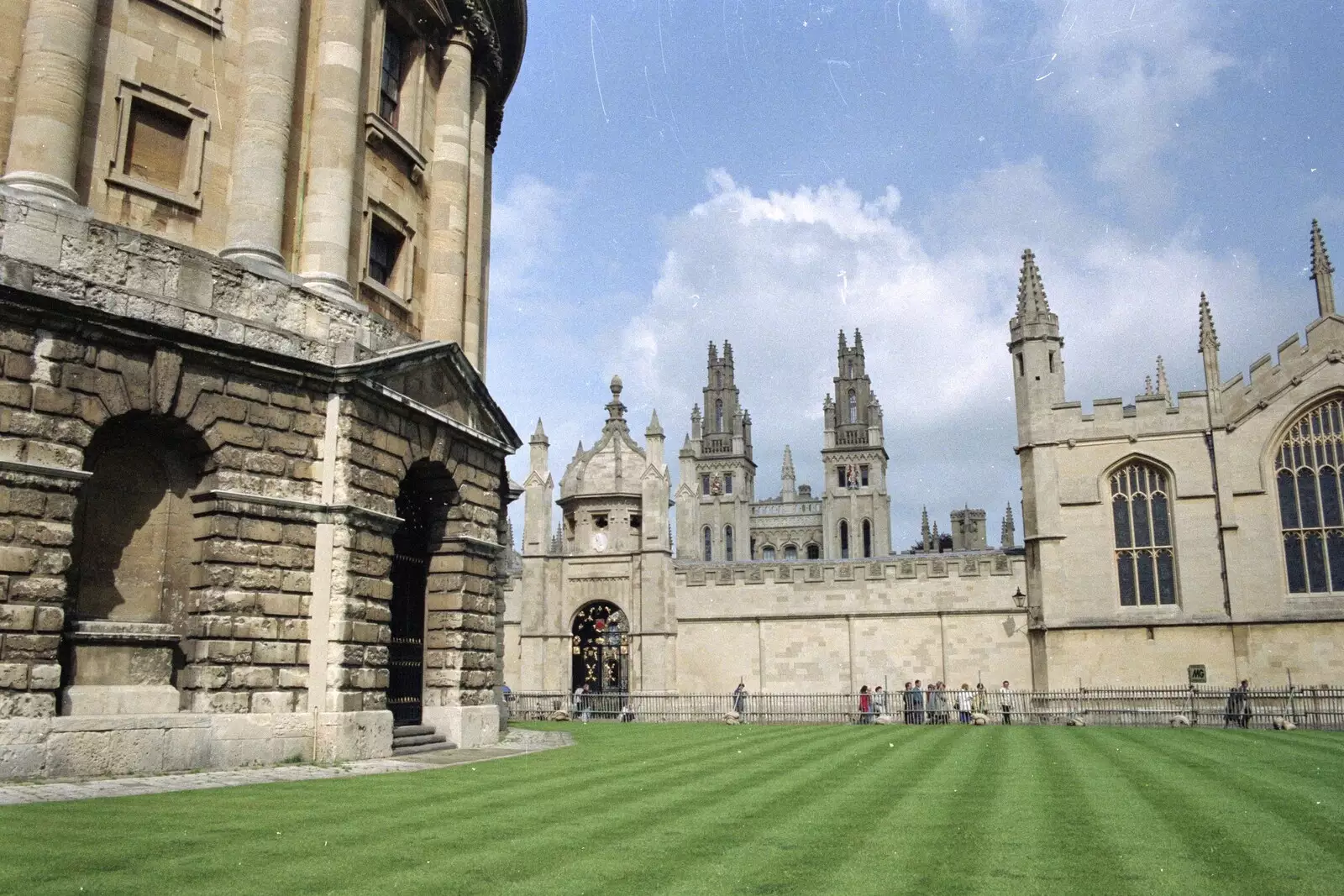 Stipey grass by the Radcliffe Library, from Hamish's Oxford Party, Oxfordshire - 25th April 1992