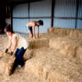 Sue and Mike stack bales of straw