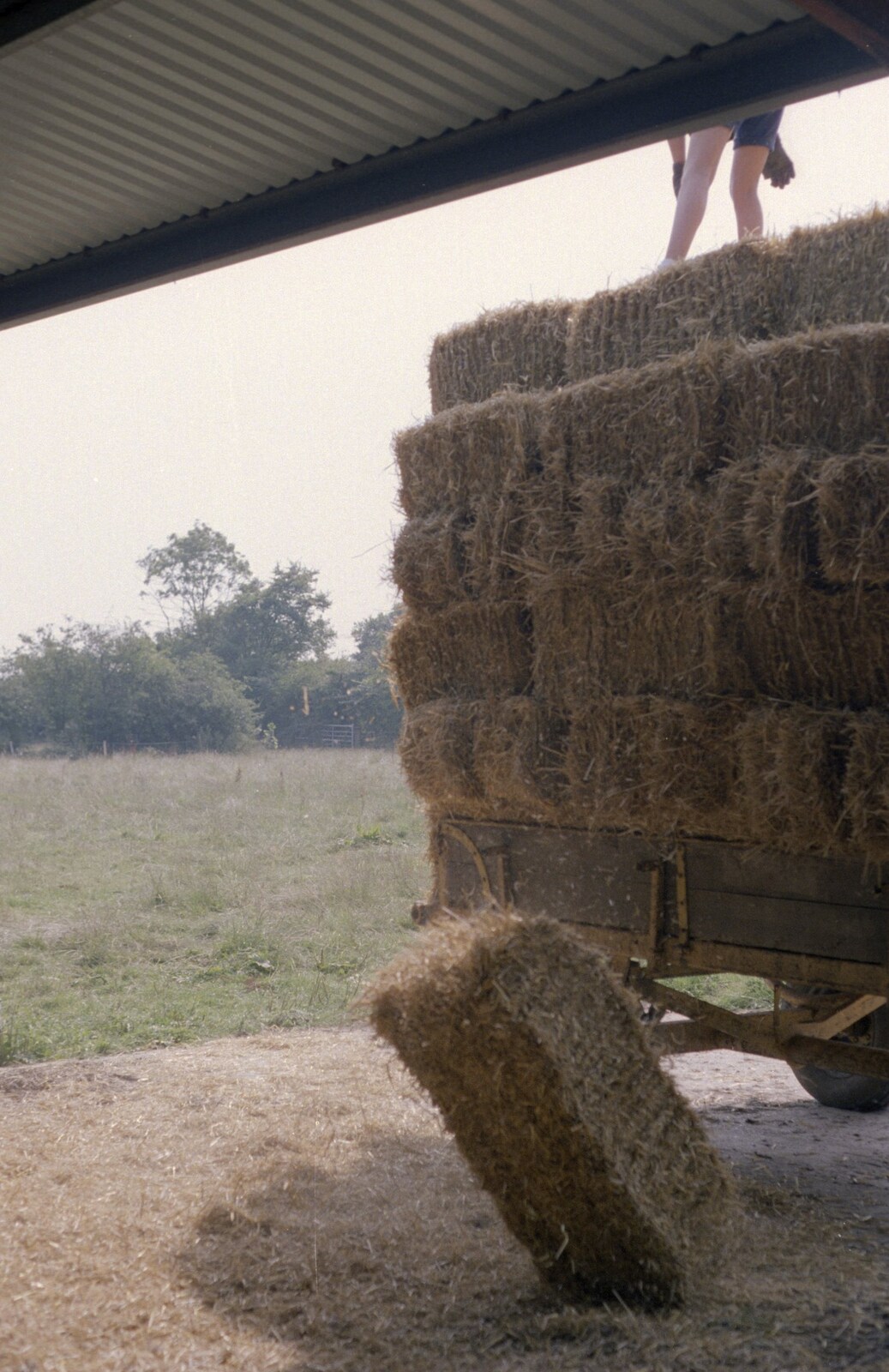Working on the Harvest, Tibenham, Norfolk - 11th August 1992: The first bale is chucked down from the trailer