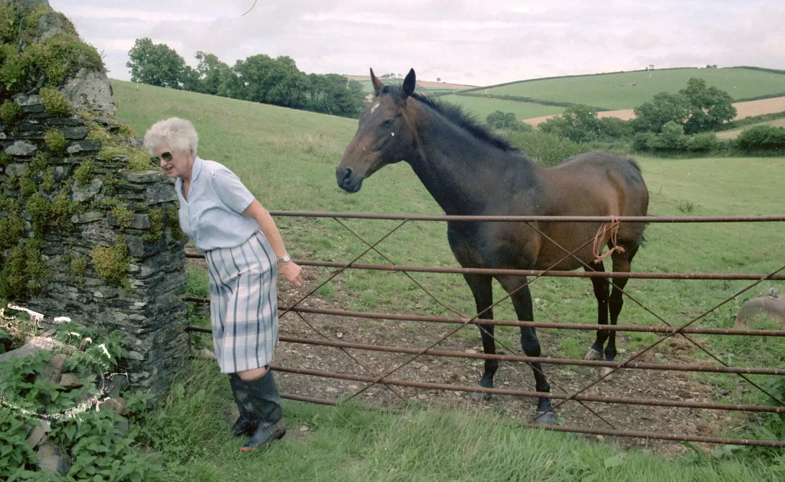 Dianne closes Oberon's gate at Pitt Farm, from Another Trip to Plymouth and Harbertonford, Devon - 16th August 1992