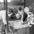 A cheese is made, Cider Making in Black and White, Stuston, Suffolk - 11th October 1992